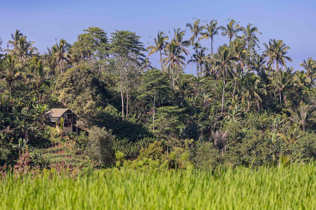 Sanda Plantation Hideaway Exterior foto